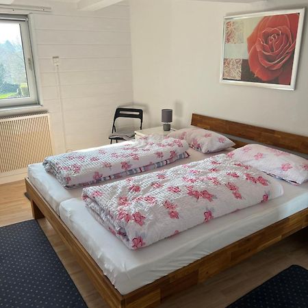 Gemuetliche Ferienwohnung Im Altbau Goslar Eksteriør billede